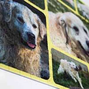 Photo Collage Puzzle 500 pieces - AUD 49.99
