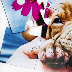 Puzzle 12 XXL pieces -  Large pieces, children, custom-made, photo puzzle Puzzle 12 XXL pieces - AUD 36.99