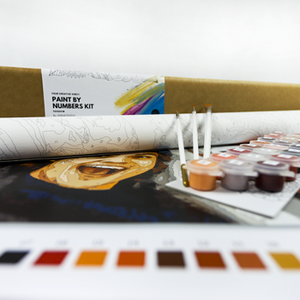 Paint by Numbers 50x50  - AUD 65.63